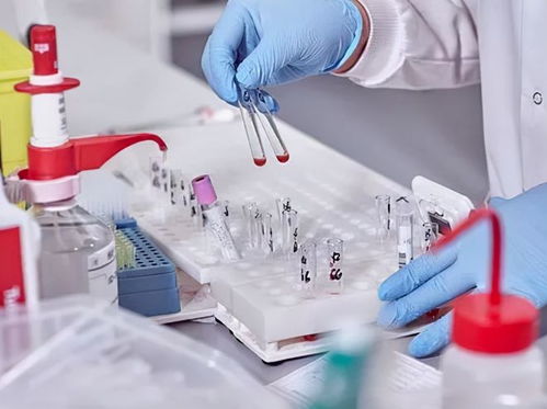 酒店洗護(hù)用品 在“洗牌、淘汰、升級”中重塑行業(yè)標(biāo)準(zhǔn)