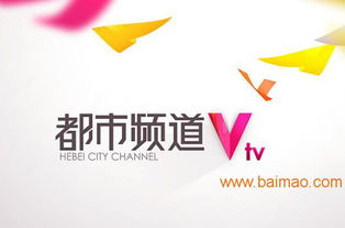 海王廣告 專業(yè)鑄就卓越，精準(zhǔn)賦能河北電視臺廣告優(yōu)勢發(fā)布
